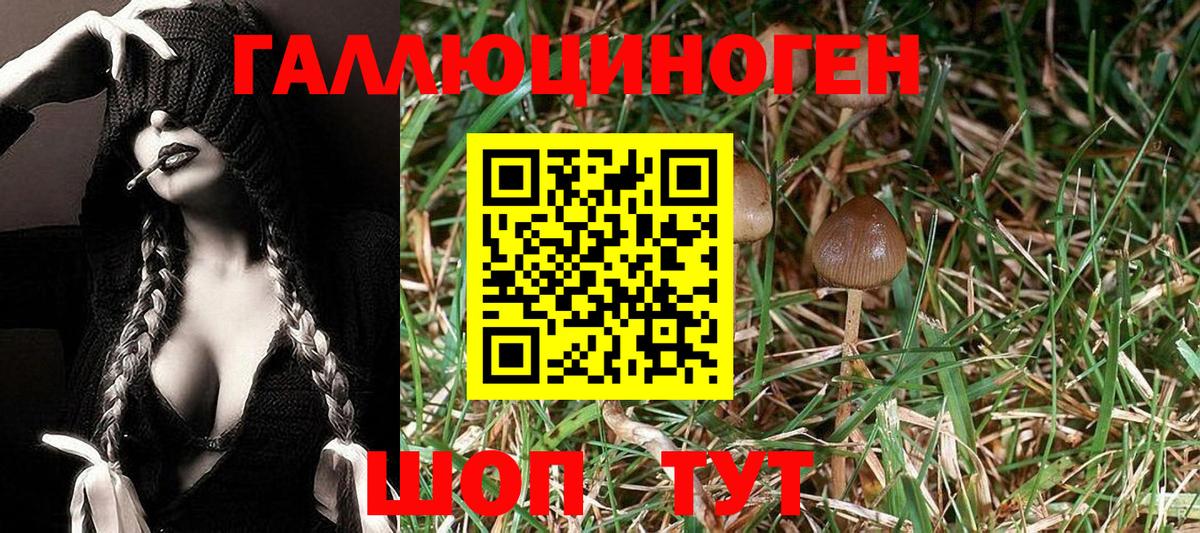 Псилоцибиновые грибы Psilocybine cubensis  Вход с VPN  Улан-Удэ  продажа наркотиков  Галлюциногенные грибы Magic Shrooms 